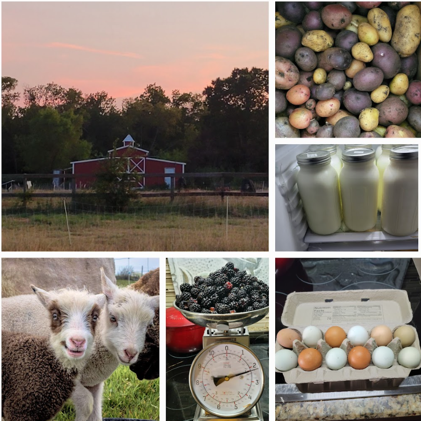 A collage view of our homestead